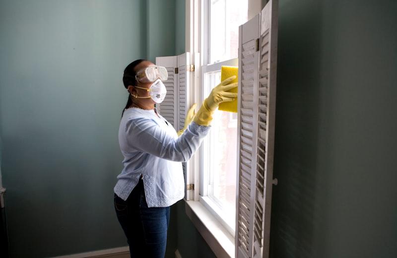 SoftSafeClean Business Website